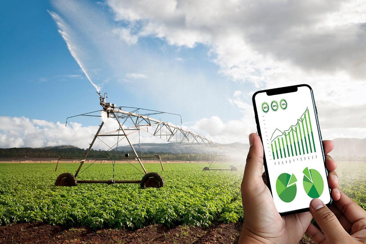L'option de l'agriculture durable qui assure la sécurité alimentaire pour tous.