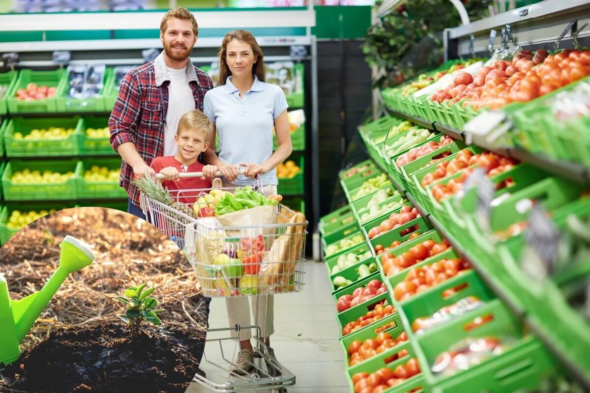 Des consommateurs face à l'impact de leurs choix sur l'environnement et la société