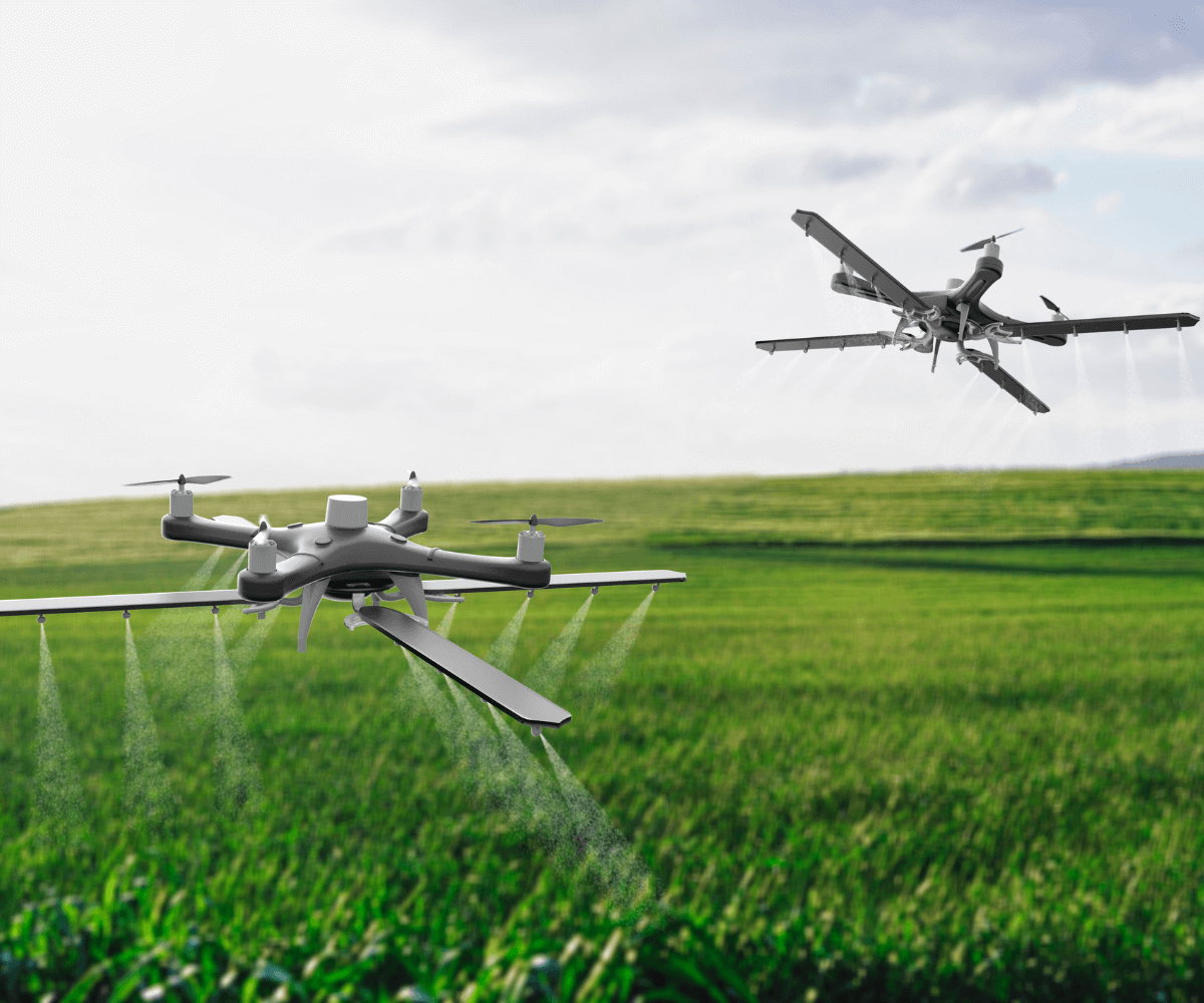 Des drones au service de l’environnement : explorez les applications ...