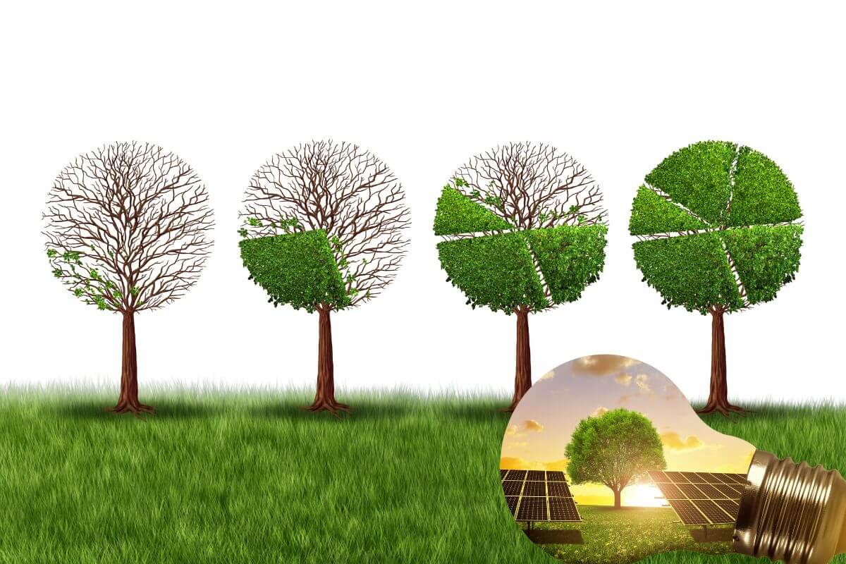 La transition écologique par la technologie.